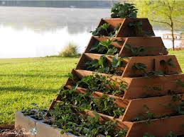 Strawberry Planter